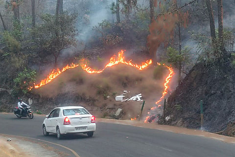 Forest fire in Hamirpur
